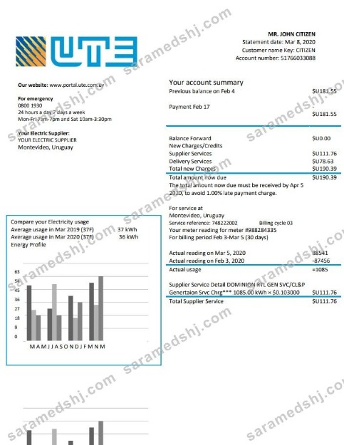 Uruguay UTE Company electricity utility bill template in Word and PDF format